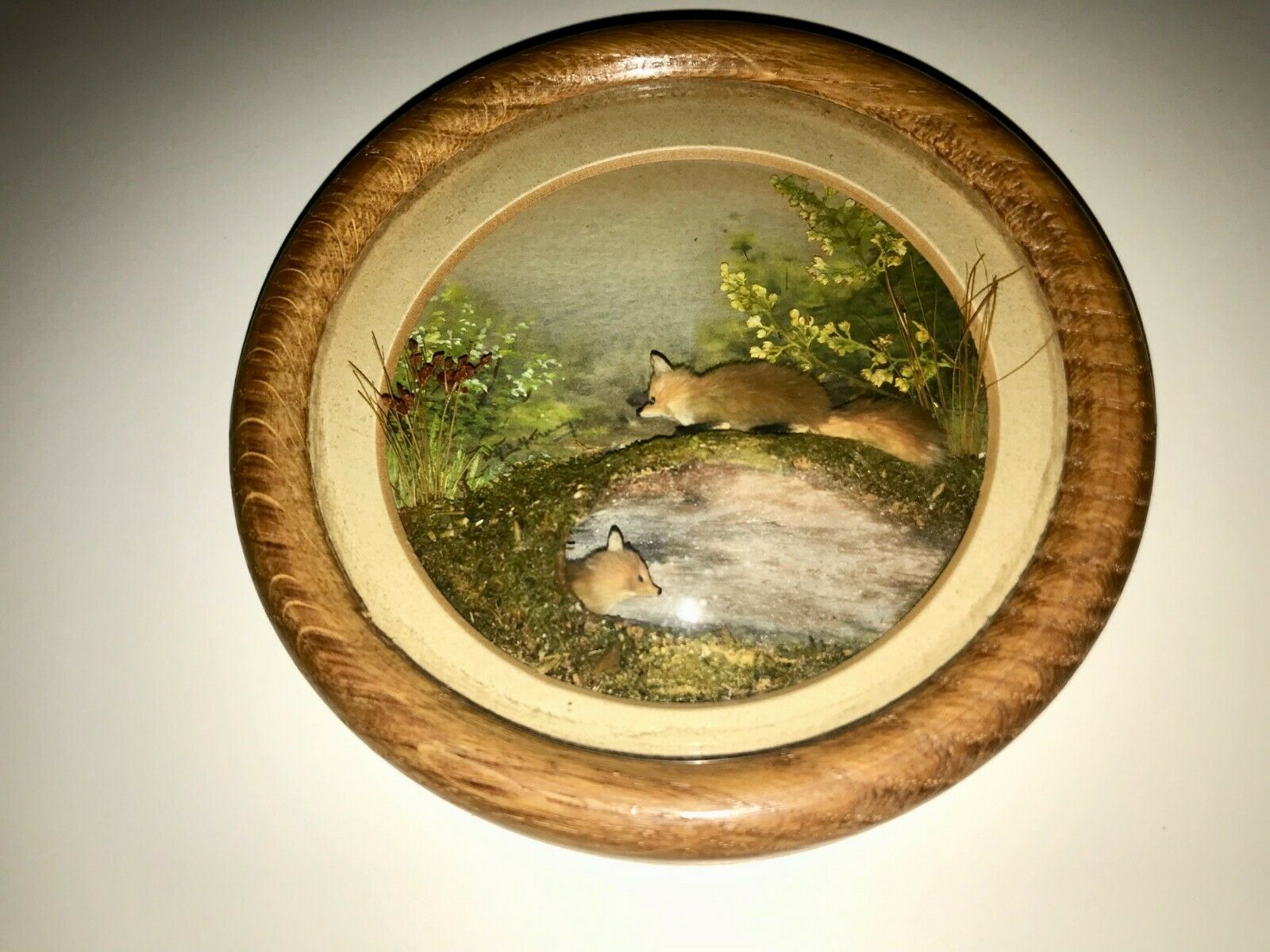 Red Foxes (5-inch)